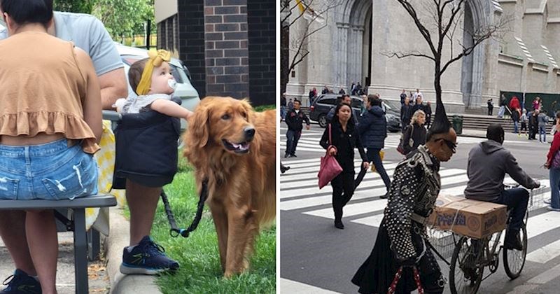 Ljudi podijelili intrigantne prizore koji na prvi pogled izgledaju zbunjujuće, pogledajte 15 fotki