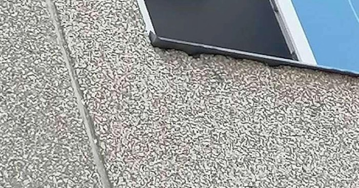Netko je u jednom stanu u Budimpešti uočio bizaran prizor, fotka je hit na Fejsu
