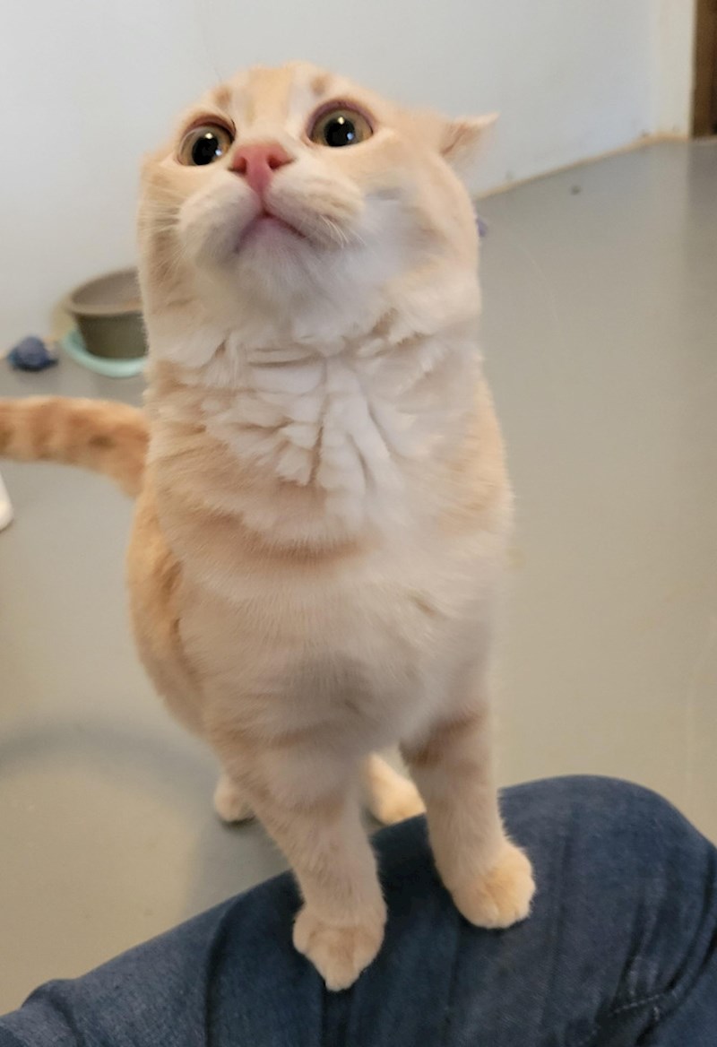 4. Ništa joj nije jasno😃