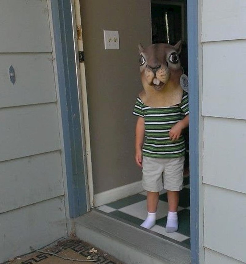 "Imali smo puno mrava na terasi pa ih je moj sin odlučio uplašiti maskom vjeverice. Nije upalilo"