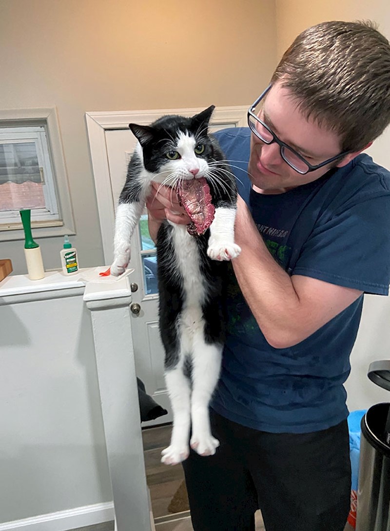 "Moj mačak je pravi lopov"