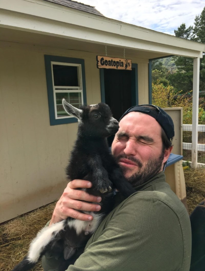 "Netko se baš jako želi maziti."