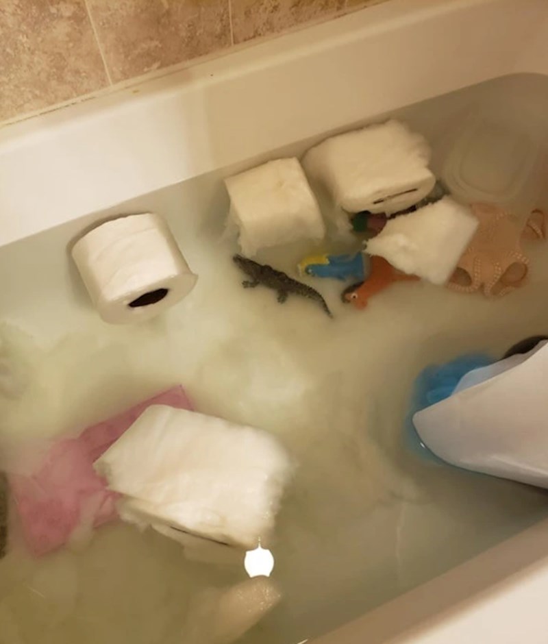 "Odlučio je oprati wc papir, ali doslovce oprati"