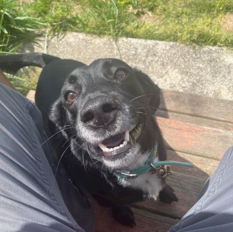 6. "Ovo je njezina reakcija kad joj kažemo da je dobra cura"