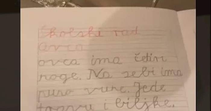 Školski rad jednog dječaka o ovci apsolutni je hit na Fejsu, odmah će vam biti jasno zašto