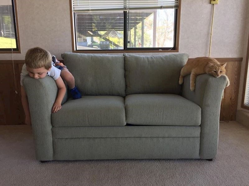 "Danas je odlučio oponašati mačku"