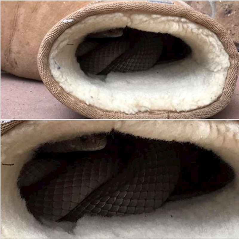 3. Jedno od pravila u Australiji vjerojatno glasi da se obuća uvijek mora provjeriti prije obuvanja