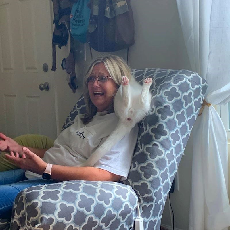 1. Vole ležati na jako neobičnim mjestima