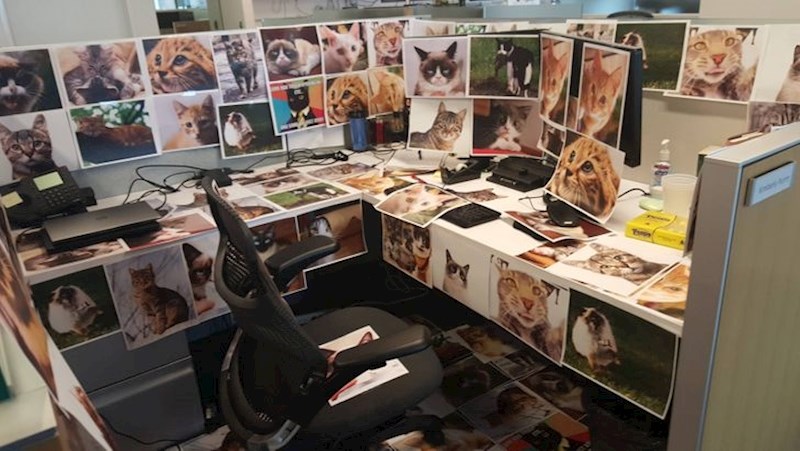 "Kolega je rekao da voli pse i ne voli mačke pa su mu druga dvojica kolega pripremila pravo iznenađenje"