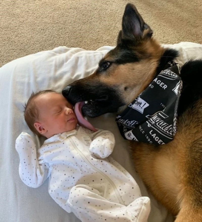 "Upravo ga je prihvatio kao svoje mladunče."