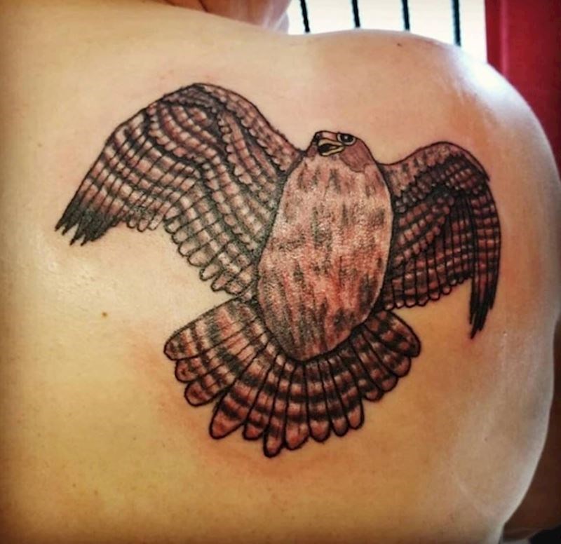 11. Neka bucmasta ptica...