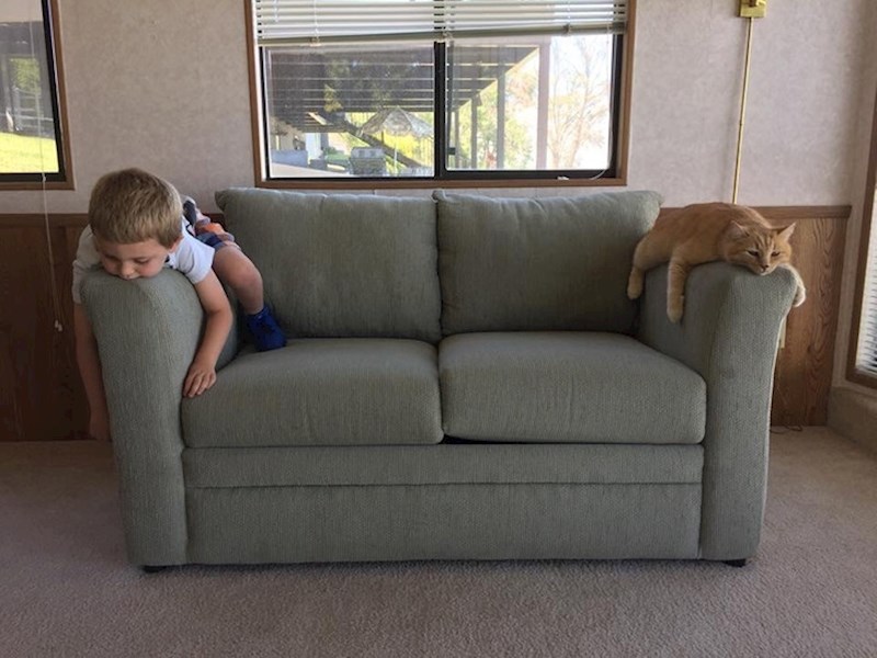 3. U posljednje vrijeme ga zabavlja oponašati mačku