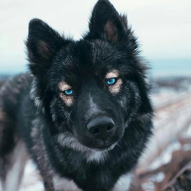 9.