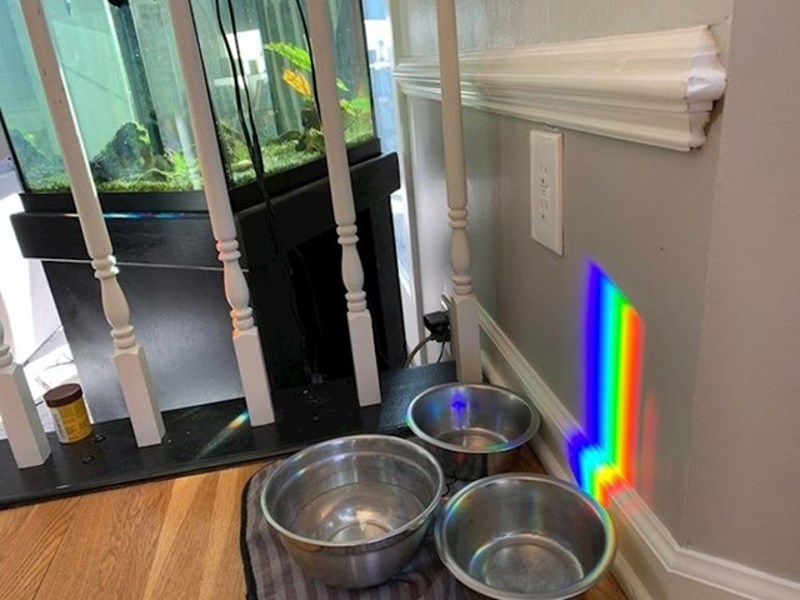 Uspjela je slikati dugu na zidu...