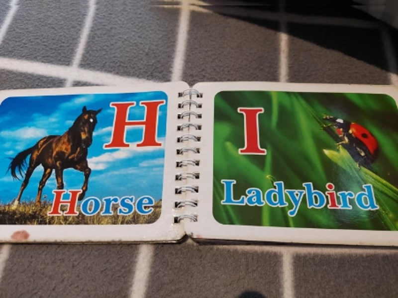 1. Barem su jednu životinju pogodili.