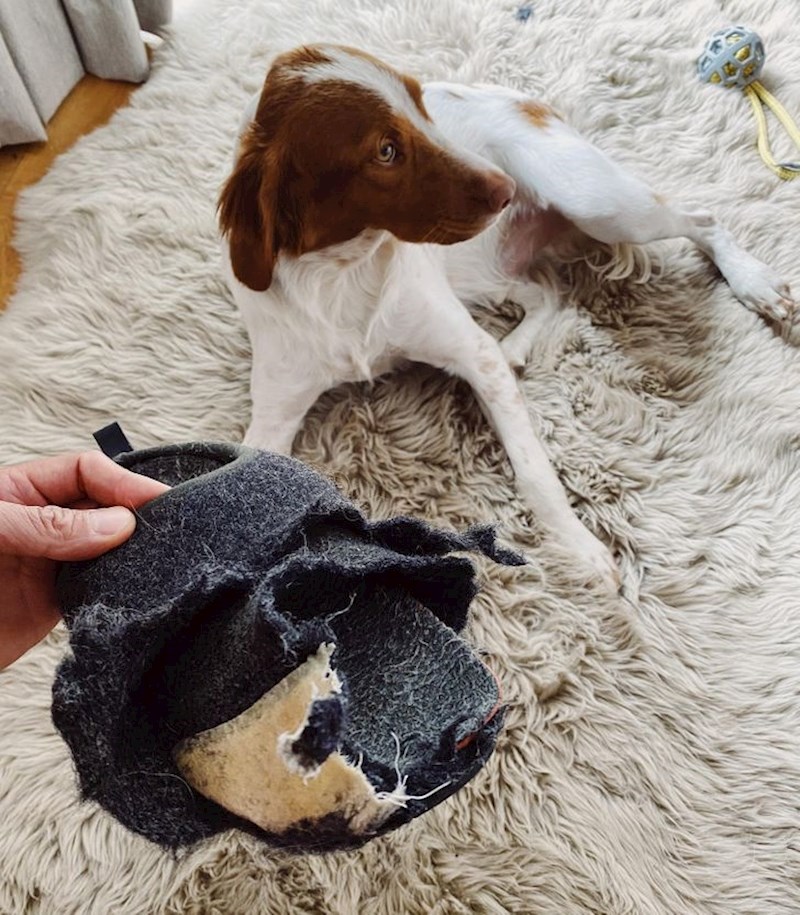 15. "Mislim, kako nam je uopće palo na pamet da bi ona mogla biti odgovorna za ovo"