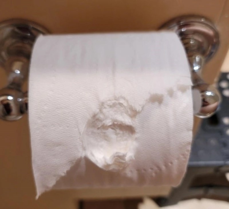 "Od svega što bih očekivala da će probati pojesti, nisam očekivala da će zagristi wc papir."