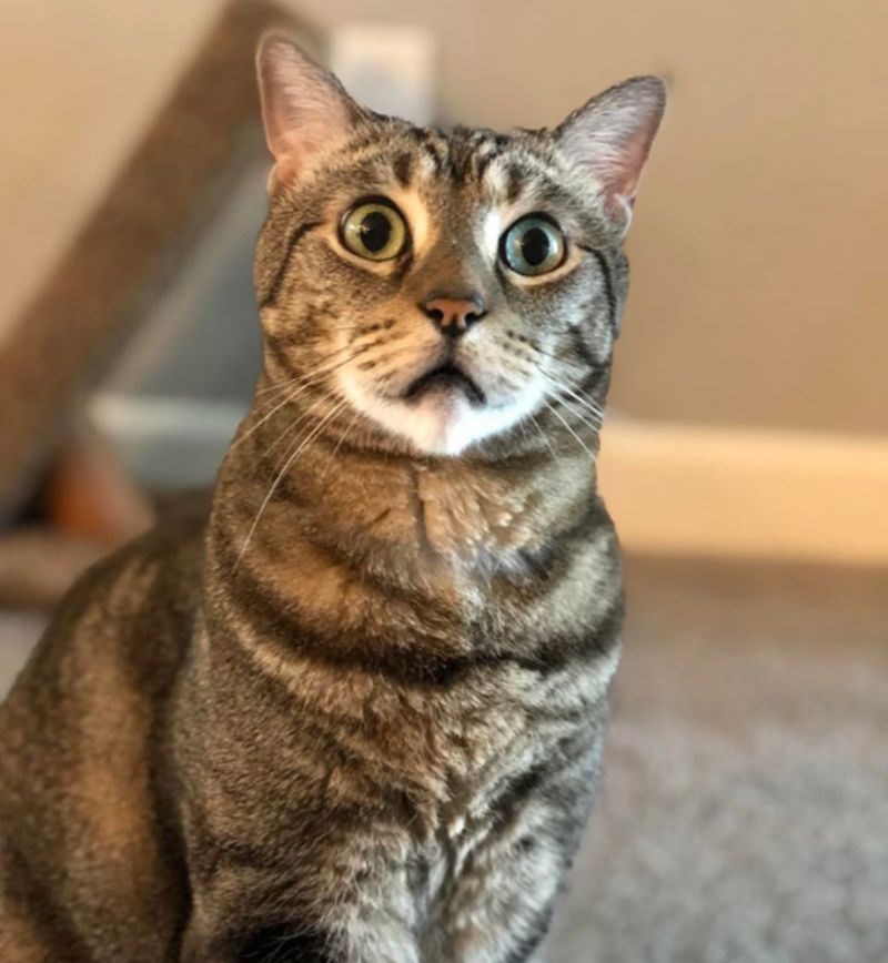 "Slučajno sam prebacila crtić koji je gledao."