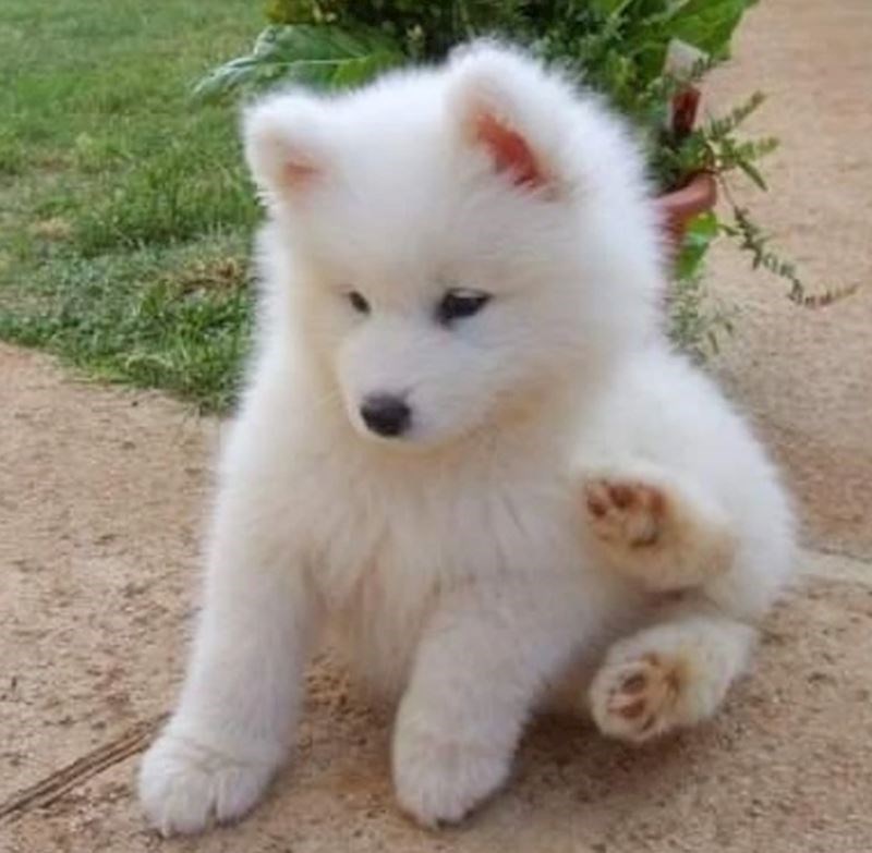 Kakav predivan oblak!