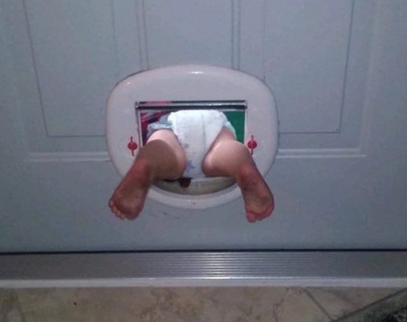 "Moja nećakinja je otkrila kako funkcioniraju vrata za životinje."