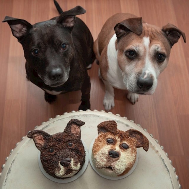 4. "Naručili smo muffine s likom naših pasa i predrago mi je što smo to napravili. Jedino mi ih je žao jesti..."