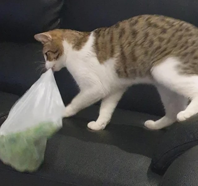 7.