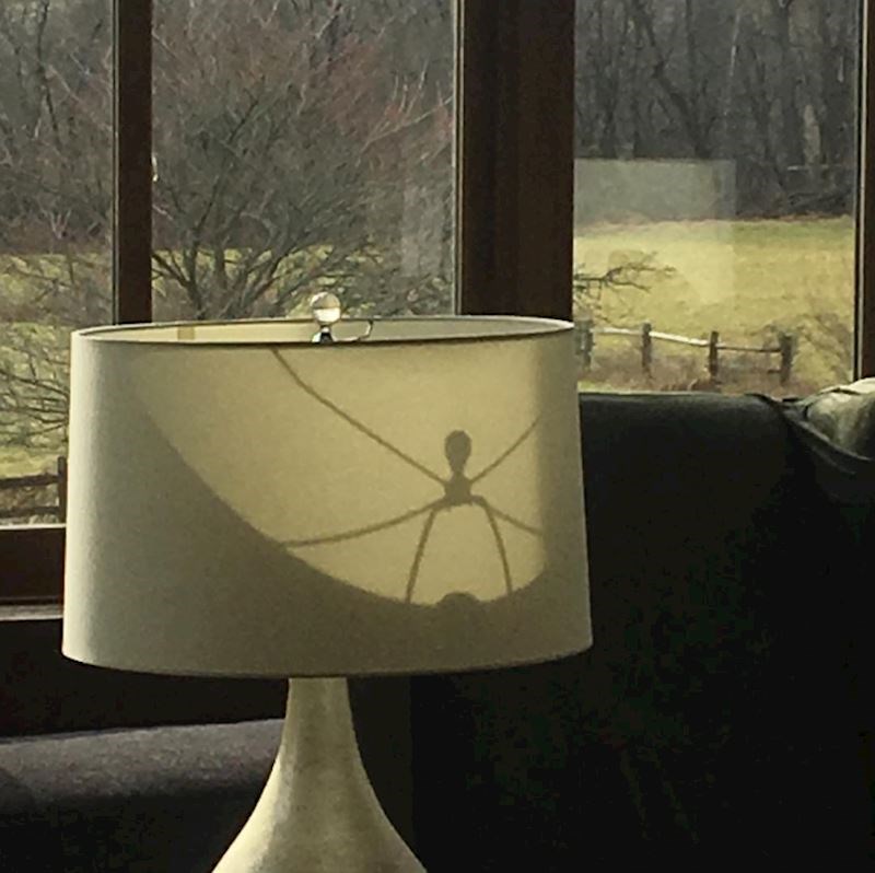 11. "Mislila sam da se u lampi krije ogroman pauk, a onda sam shvatila od čega je zapravo sjena..."