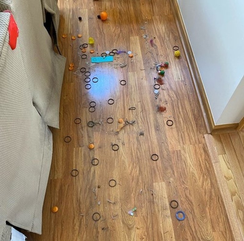 6. Ljudi su radili generalku i pomaknuli kauč da počiste ispod njega, a onda ih je dočekalo iznenađenje