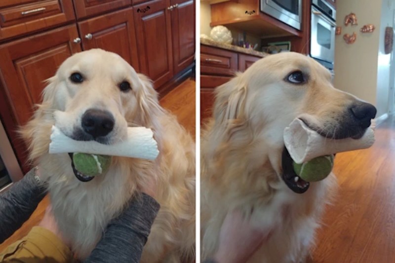 10. Ono kad želiš baš sve igračke!