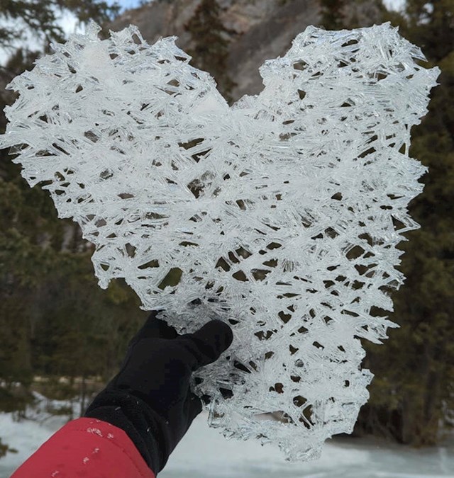 "Ledena skulptura u obliku srca"