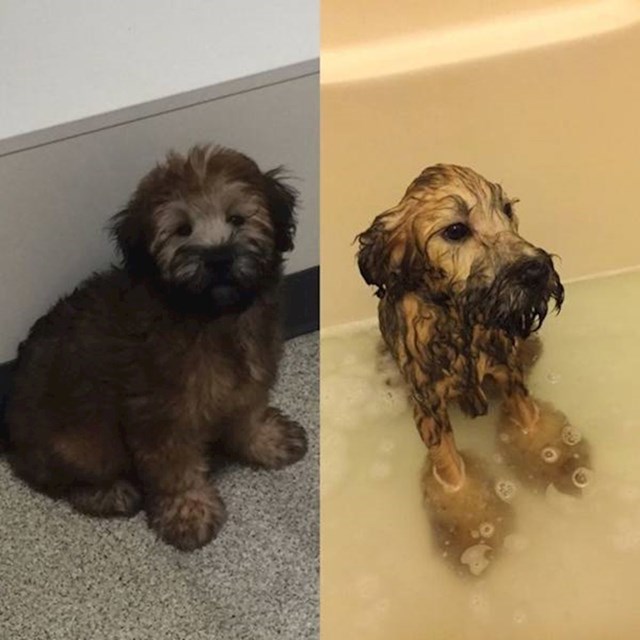 Prije i tijekom kupanja