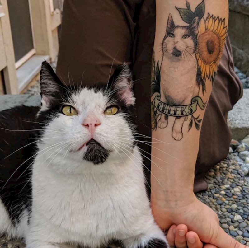 "Predobro su napravili!"