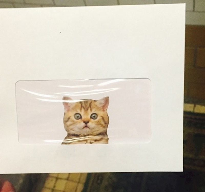 10. Ovakvu poštu bismo i sami voljeli dobiti!