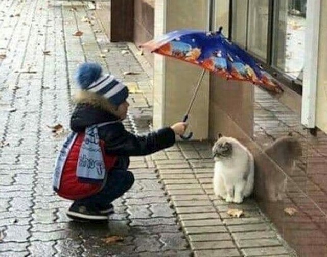 "Ovaj dječak je odlučio zaštiti mačku od kiše"