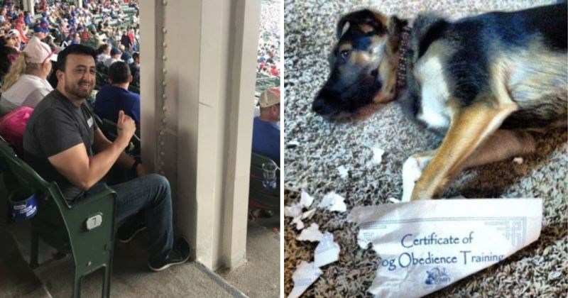 10+ smiješnih situacija koje ovi ljudi definitivno nisu očekivali, neke kao da su iz komedije