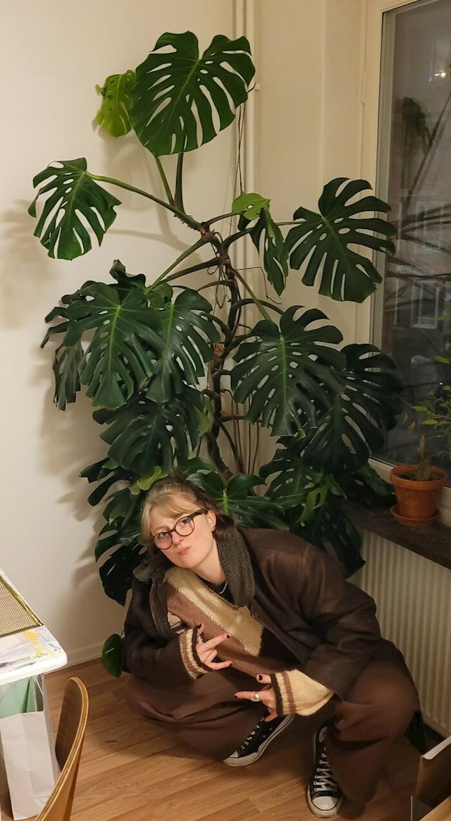 12. Bacili su ovu biljku jer nisu pravilno brinuli o njoj, a onda su joj ovi ljudi odlučili dati šansu