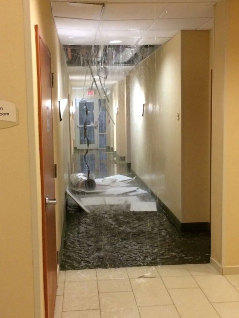 10. "Navečer smo se prijavili u hotel, a tijekom noći nas je probudila ova buka i dočekao neočekivan prizor."