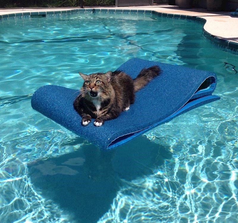 9. "Shvatio je da je učinio gadnu pogrešku"