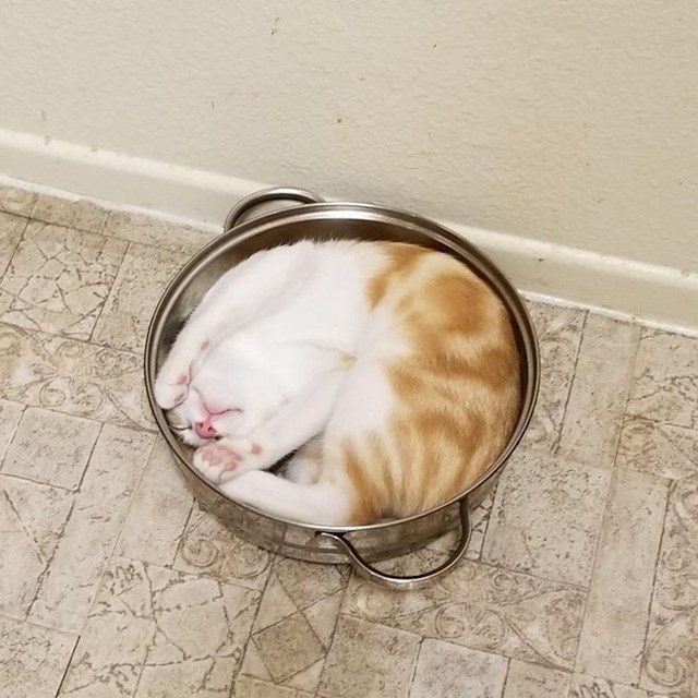 18.