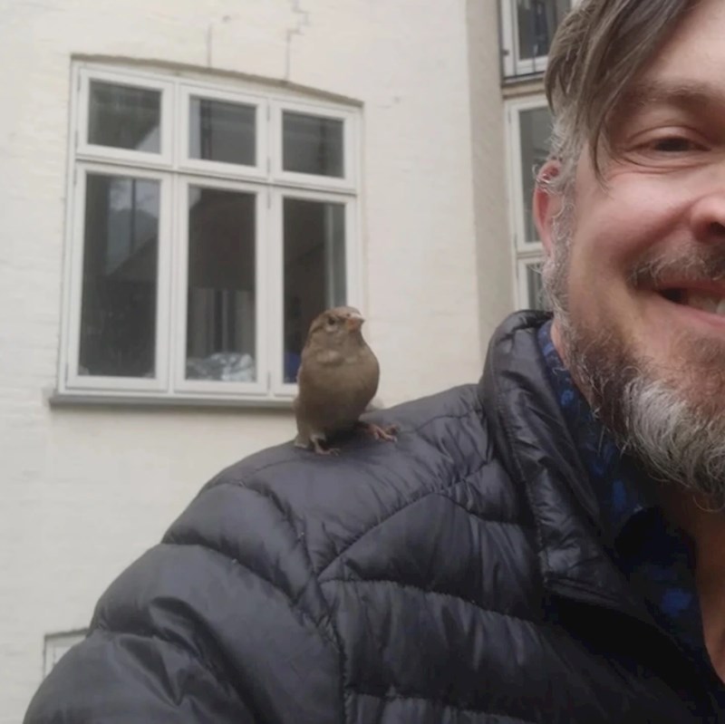 "Izašao sam s mačkom iz zgrade i nakon nekoliko minuta mi je na rame sletjela ptičica. Osjećam se kao Disney princeza"