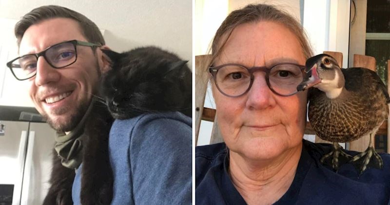 Ljudi objavili fotke sa svojim životinjama dok im "odmaraju" na ramenu, nevjerojatno su slatke