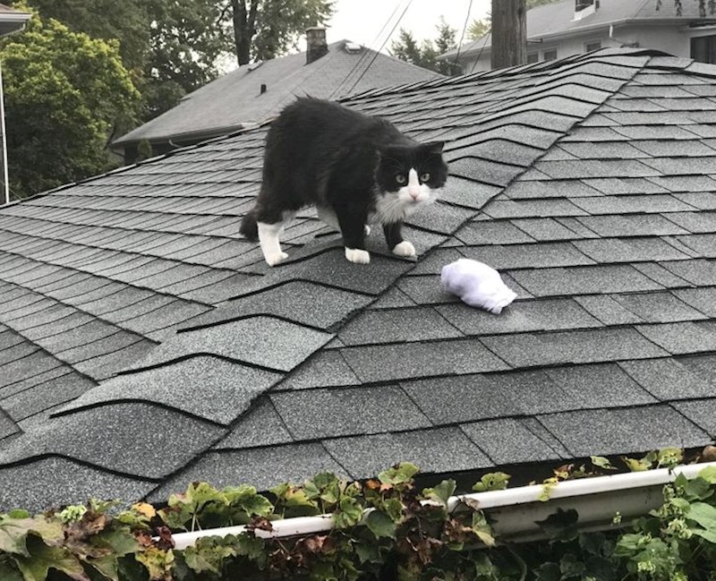 18. "Znači tu su sve moje čarape"