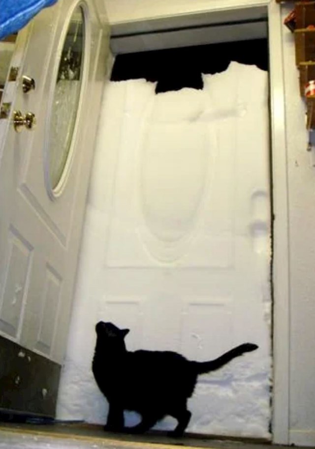 "Ovako izgleda ulaz u kuću nakon što je snijeg padao cijeli dan"