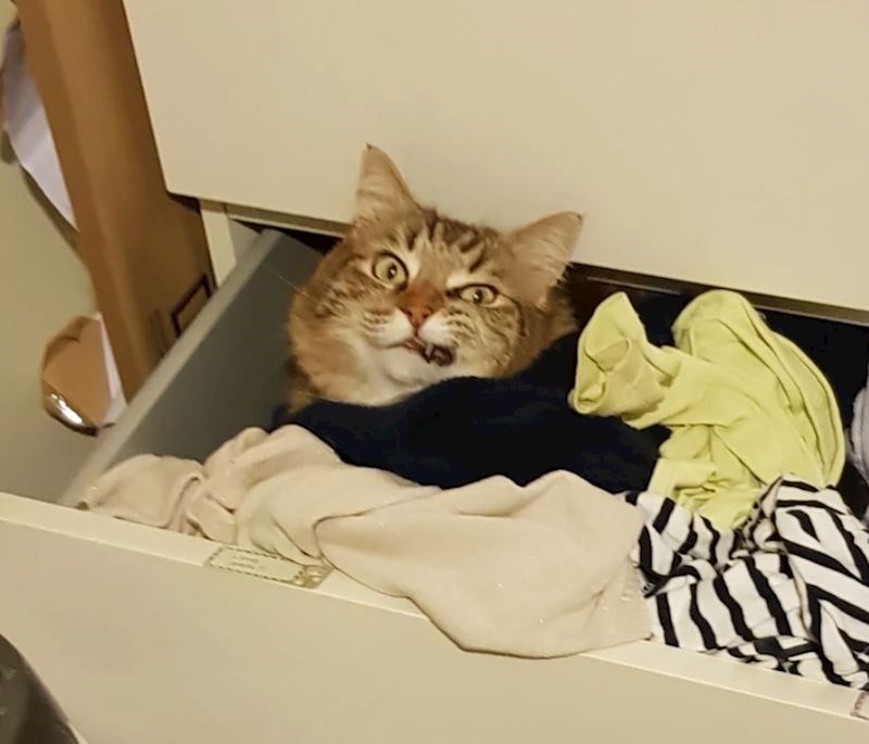 2. "Očito nezadovoljstvo jer sam ga slučajno probudila"