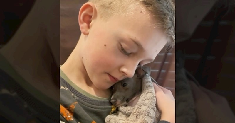 Dječak je tješio psića koji se zbog kupanja tresao od straha. Raznježit ćete se kad pogledate video