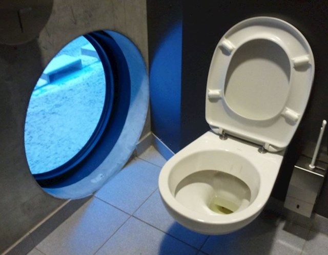 Privatnost na wc-u je precijenjena