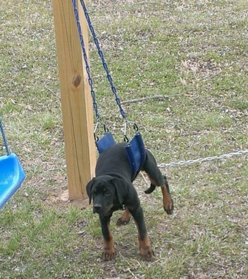 23. "Malo je zapeo..."