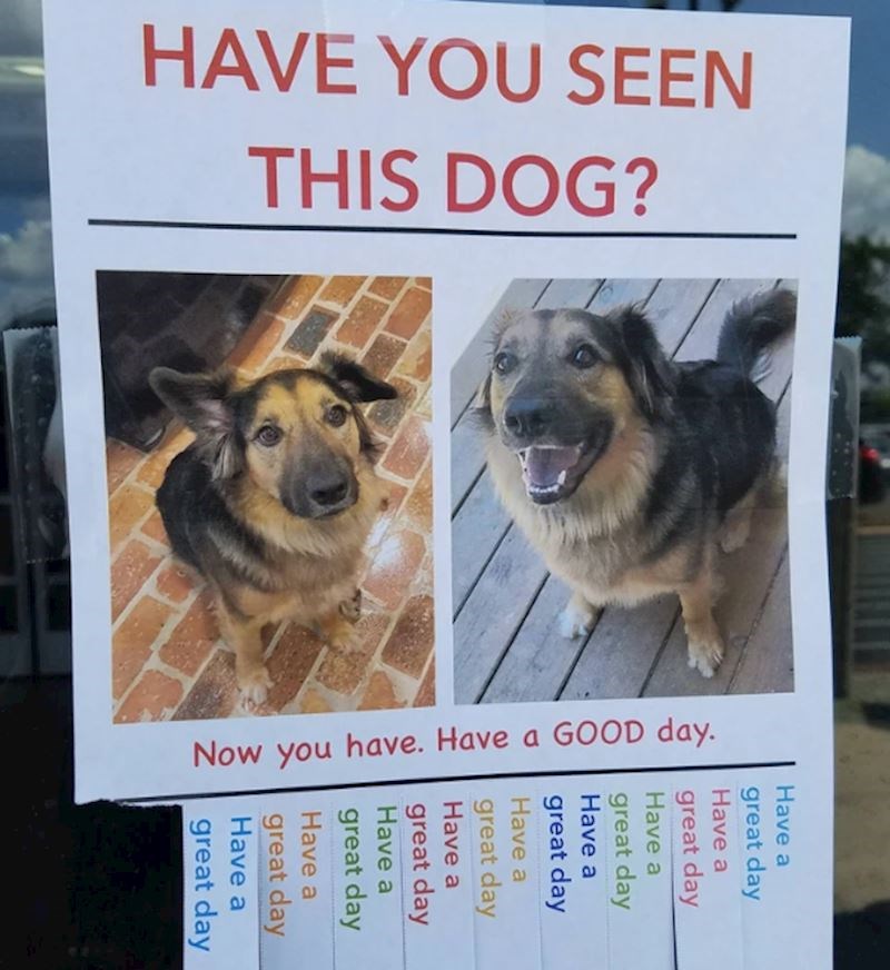 5. "Malo pozitive u danu"