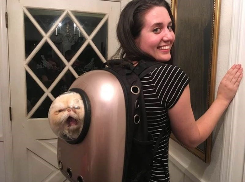 "Rekla sam dečku da me slika s mačkom. Još mi je bilo sumnjivo zašto se toliko zadovoljno smije."