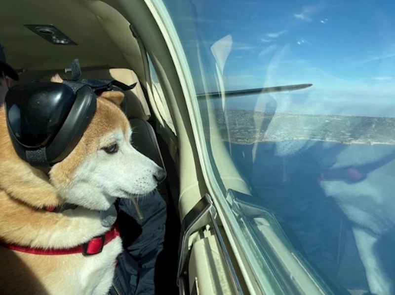 "Prvi put je letio u zrakoplovu i radio presmiješne grimase"